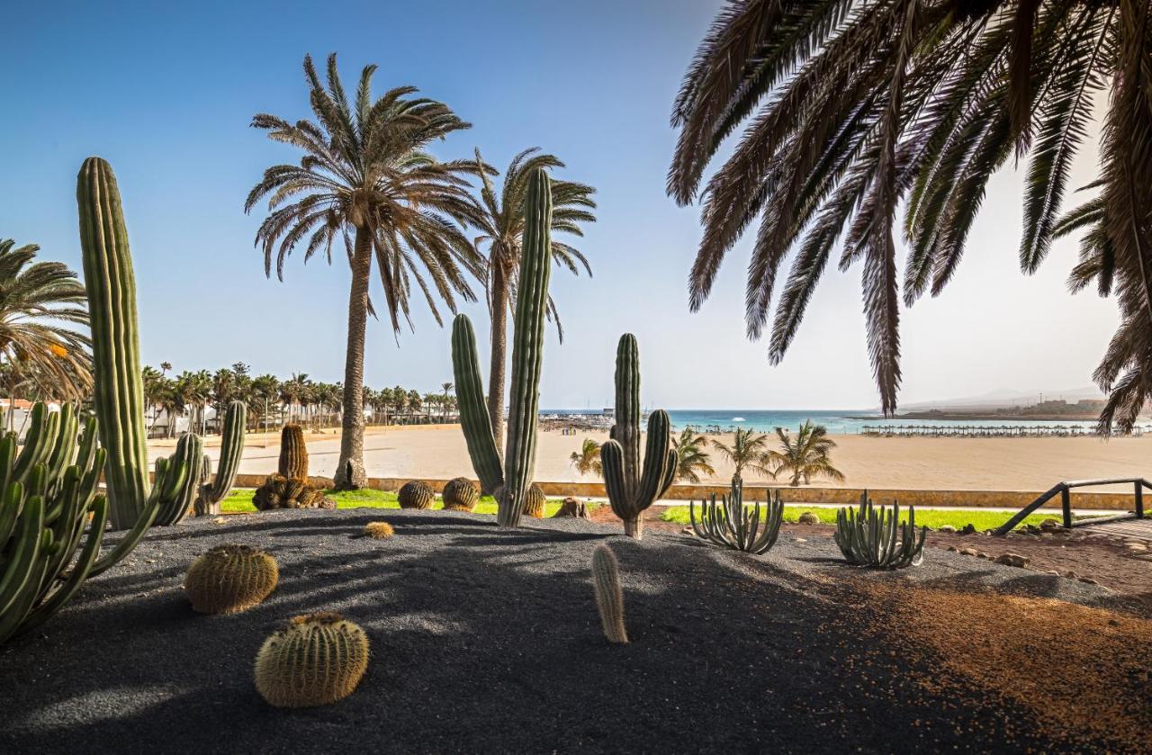 Hotel Barcelo Fuerteventura Royal Level - Adults Only Caleta De Fuste Zewnętrze zdjęcie